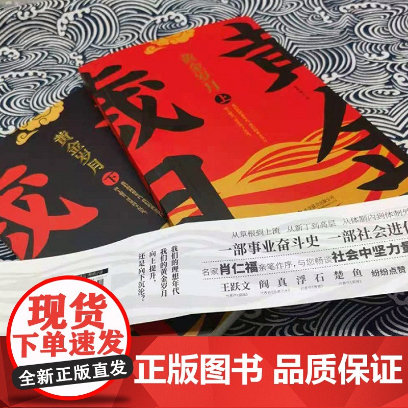 黄金岁月(上下2册) 漠野萧成 作品 官场反腐小说 正道 黄金岁月 中国文学小说 事业奋斗 社会进化 畅谈社会中坚力量的高清大图