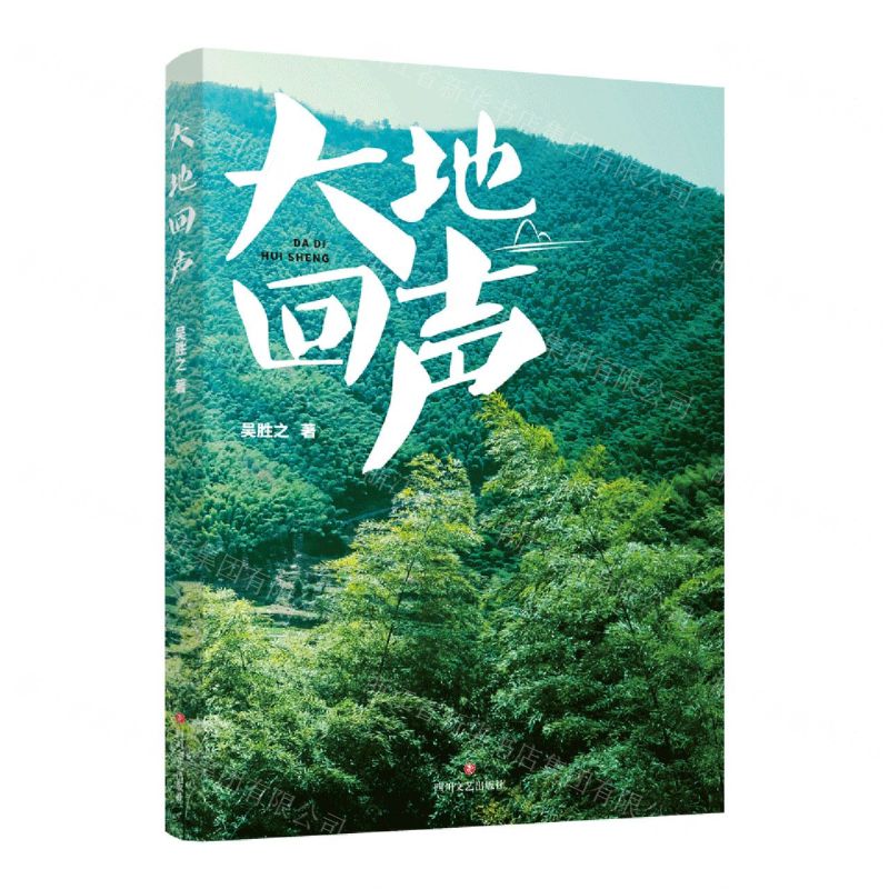 [N]大地回声-9787541162473高清大图