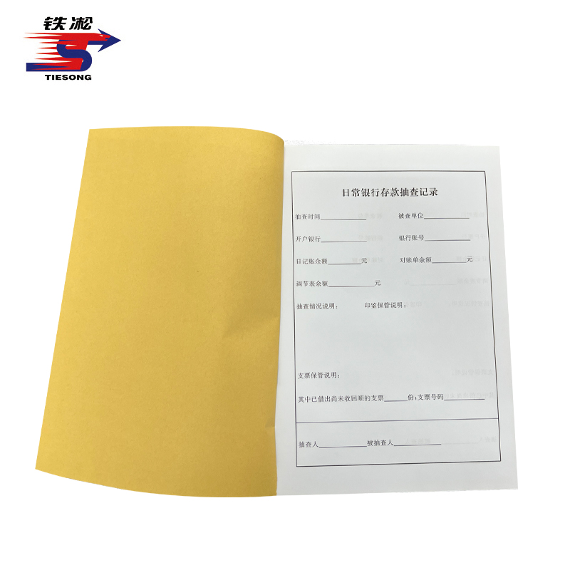铁凇 日常银行存款抽查记录 A4 册高清大图