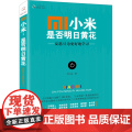 小米，是否明日黄，