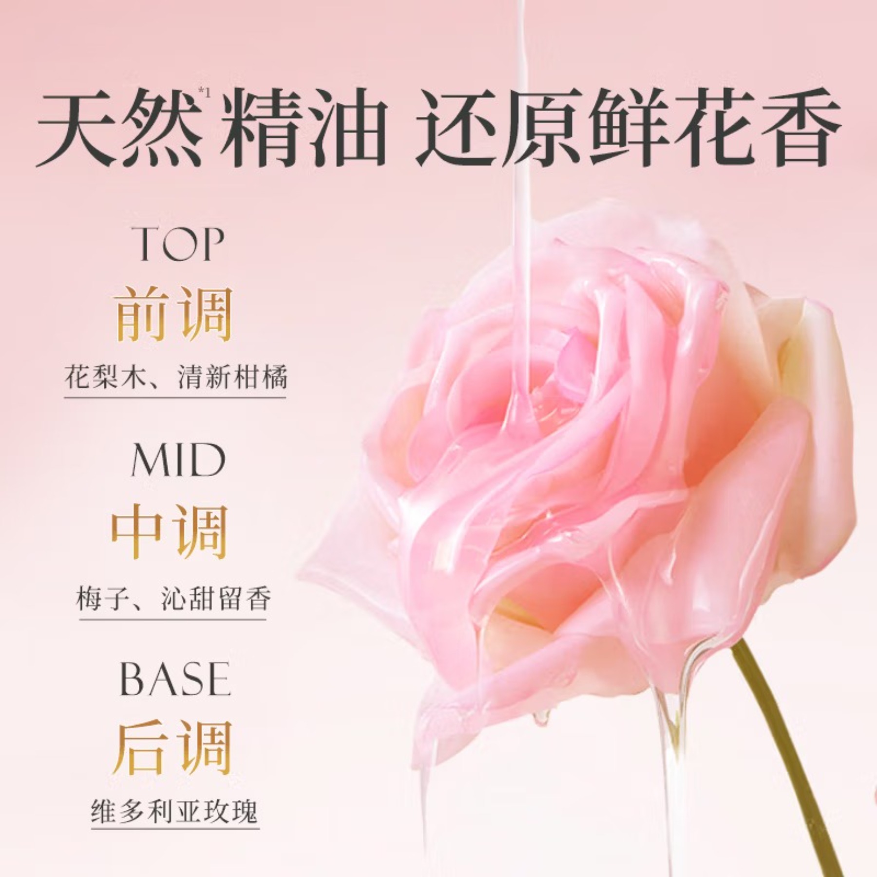 SukGarden蔬果园天然玫瑰精油香氛洗衣液(袋装)500g高清大图