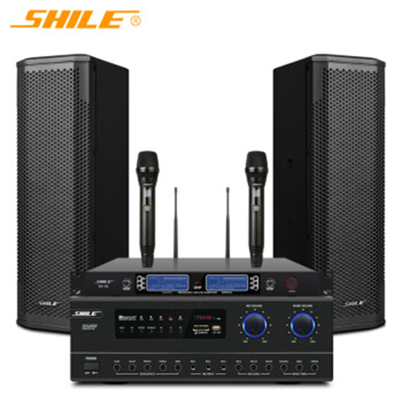 狮乐 (SHILE)AV108功放+BX402音柱一对+一拖二话筒 专业中小型会议室音响系统可调角度音柱功放音箱组合