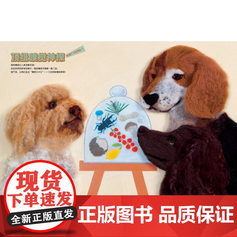 加油,狗狗! 〔韩〕安胜河/著 职业启蒙 生活科普 创意艺术 日韩绘本 魔法象 广西师范大学出版社高清大图