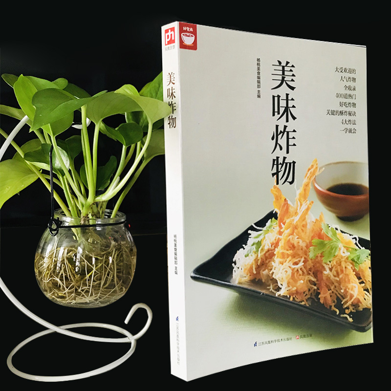 [正版]美味炸物(在家轻松做炸物) 好食尚系列 人气炸物做法制作方法大全 酥炸秘诀 饮食营养食谱菜谱大全 美食烹饪书籍高清大图