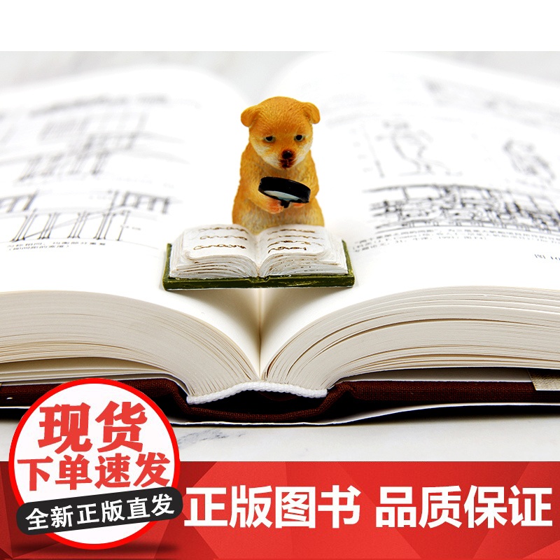 正版 建筑十书 典藏版 维特鲁威 建筑全书古代文化全书 西方古典学 西方艺术史 建筑术语 建筑分类 公共空间定位 北京大高清大图