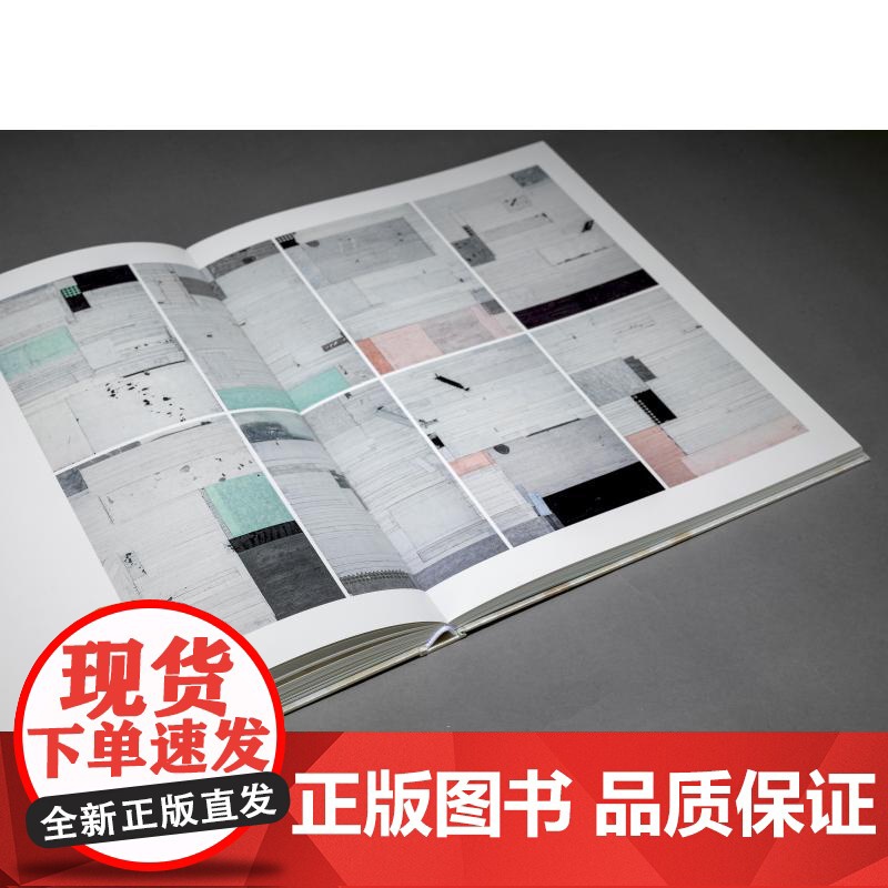 传与承梁铨、王立星、严善錞 全3册深圳画院名家系列深圳画院编委会编上海书画出版社绘画艺术书籍正版书籍高清大图