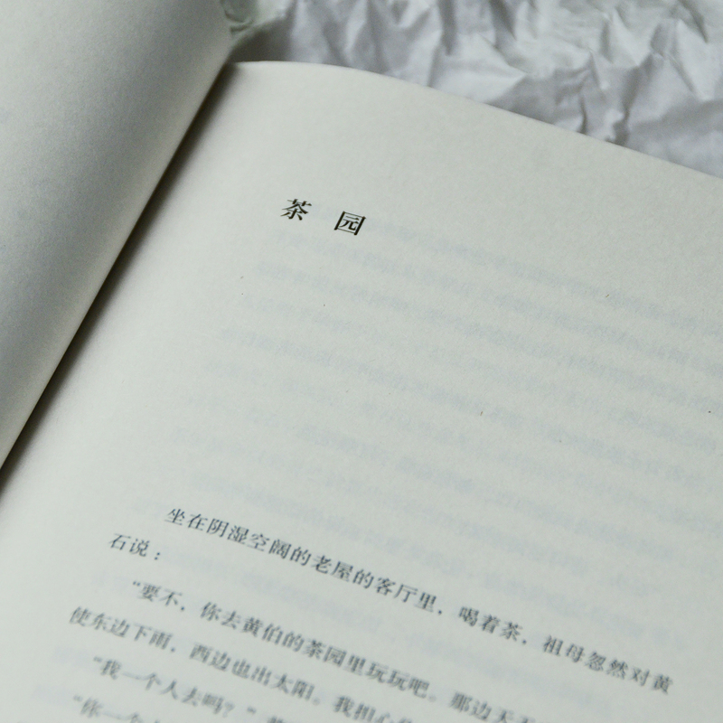[正版] 茶园 残雪全新小说自选集文学 精装版 现当代小说 收录新创作的十六篇小说 离诺奖很近的宝藏作家高清大图