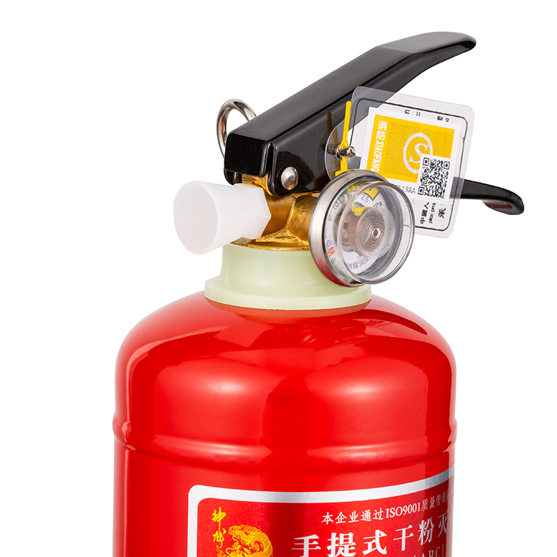 神龙 灭火器 干粉灭火器1公斤 车载家用灭火器1kg MFZ/ABC1