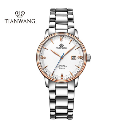 天王表(TIANWANG)手表 时尚商务简约女表精致钢带机械女士手表LS51003