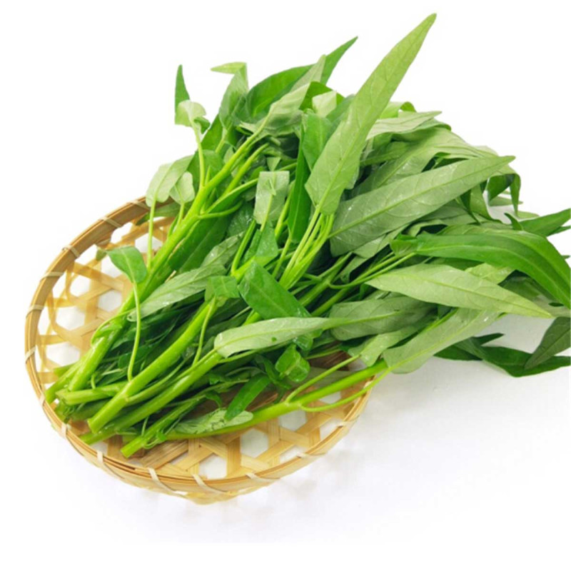 空心菜-20斤/捆视频介绍_空心菜-20斤/捆功能演示视频-苏宁易购