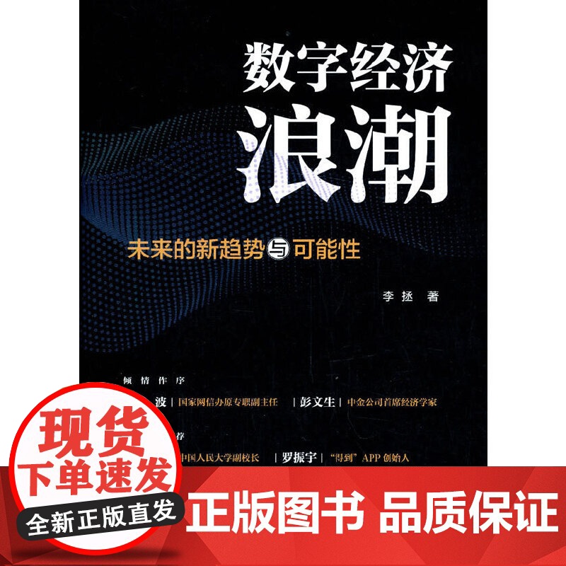数字经济浪潮——未来的新趋势与可能性高清大图