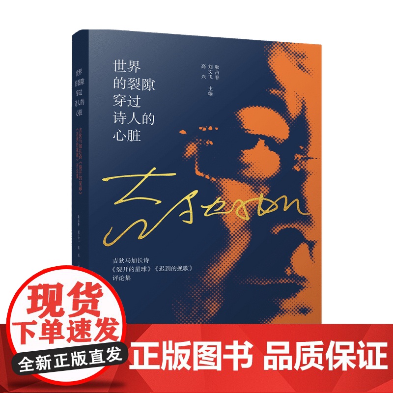 世界的裂隙穿过诗人的心脏 耿占春 刘文飞 高兴 著 文学