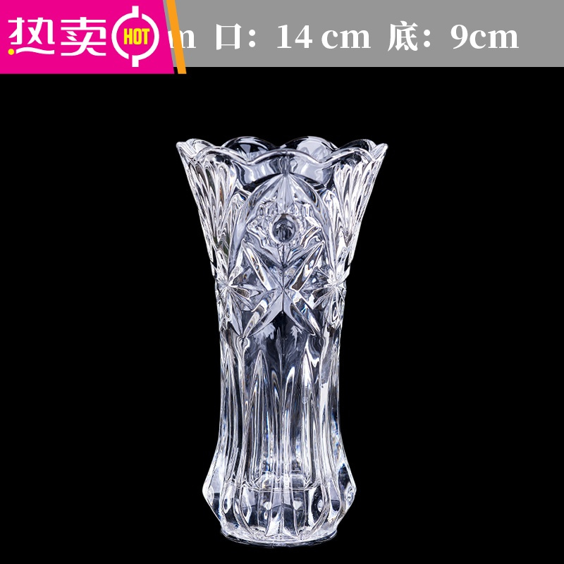 封后 Fenghou 花瓶 花艺简约玻璃花瓶摆件客厅插花水培水养富贵竹鲜花餐桌大号透明花器fenghou 30白菜 加厚高品质款 价格图片品牌报价 苏宁易购梦舟家居生活专营店