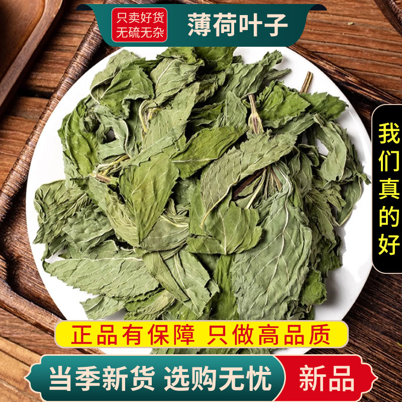 薄荷叶子100克干货正品官方店新货薄荷夜息香泡水喝养生茶甄选薄荷叶子9260高清大图