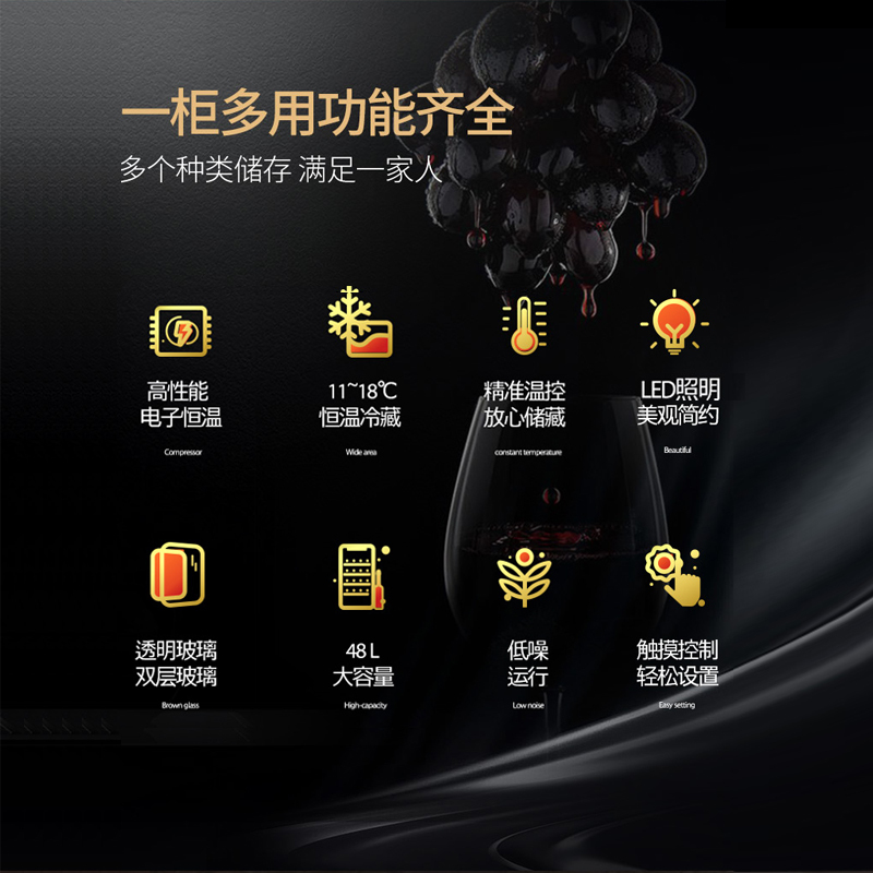 凯得.品味爱(candor) CW-48FD 电子红酒柜恒温酒柜 冰吧 茶叶柜 雪茄柜 红酒柜冰箱家用 16支装 48L