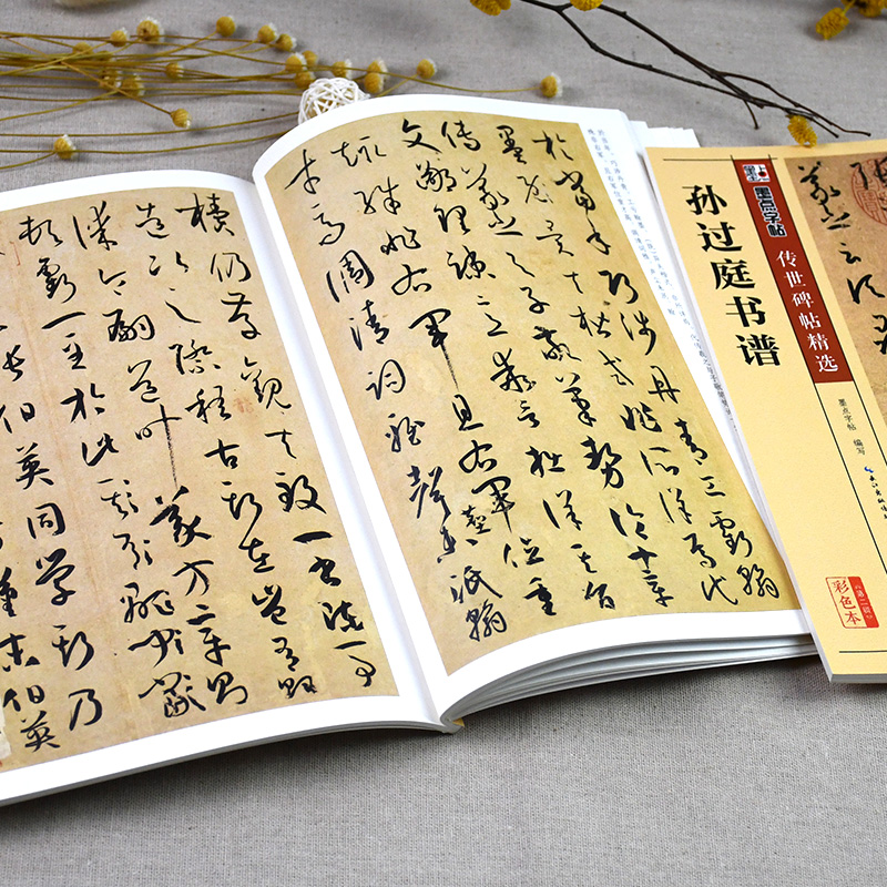 [正版]字帖传世碑帖精选彩色本 二辑 孙过庭书谱 草书书法毛笔字贴初学者毛笔字帖入门练习 历代老碑帖法书选名品系列书法高清大图