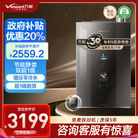 万和 一级能效 16升零冷水燃气热水器天然气 水量伺服恒温 超一级能效 小体积省空间 五重防冻LS9D16