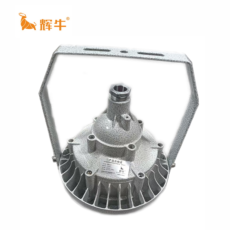辉牛 防爆泛光灯 HN9845 件