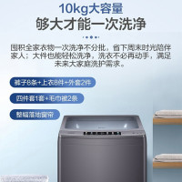 Haier海尔洗衣机 波轮洗衣机全自动10公斤家用大容量 健康除螨洗幂动力智能预约内筒免清洗抗菌波轮MB100-F258
