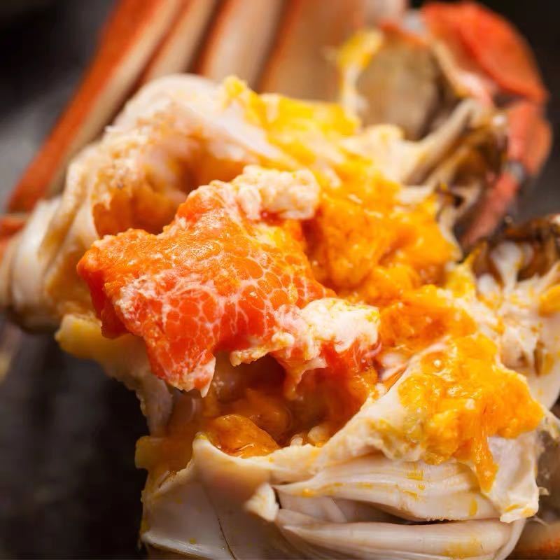 赛卡伊满膏满黄大闸蟹特大螃蟹鲜活全公母海鲜河蟹水产礼盒416只全母