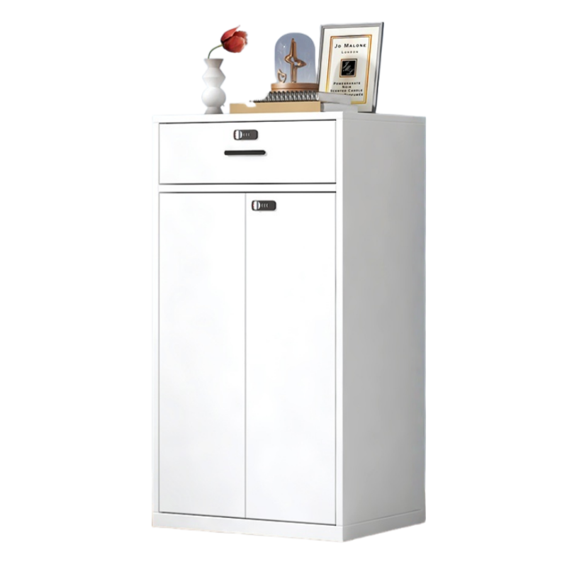 智叶舟矮柜文件柜两门一抽60*40*109cm台高清大图