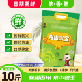 角山(JiaoShan)角山米宝 丝苗米 长粒细米 籼米 南方大米 软香 一级大米 5kg