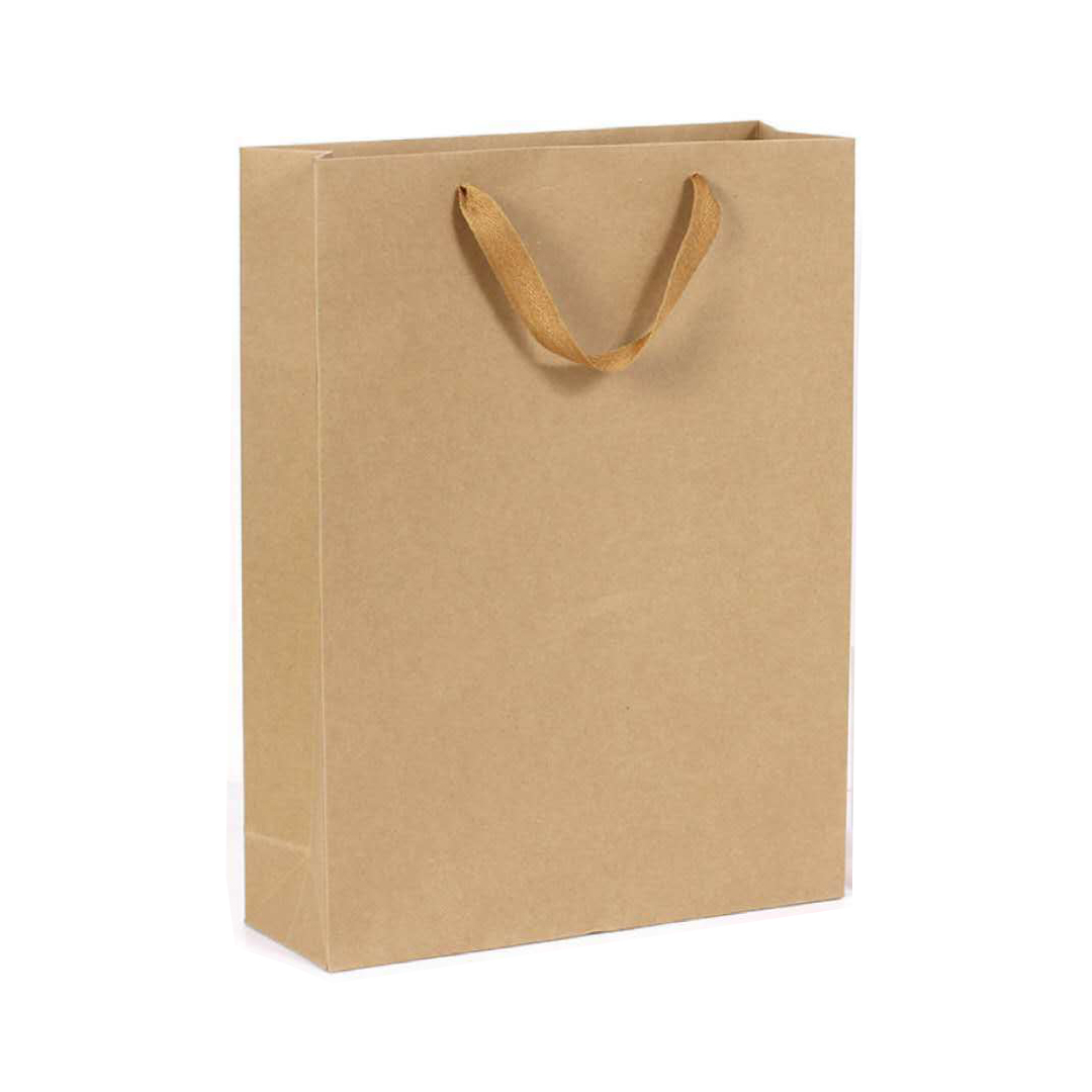 牛皮纸袋定制手提袋礼品袋 竖版-长30CM/高40CM/宽10CM/单只(100只起拍)高清大图