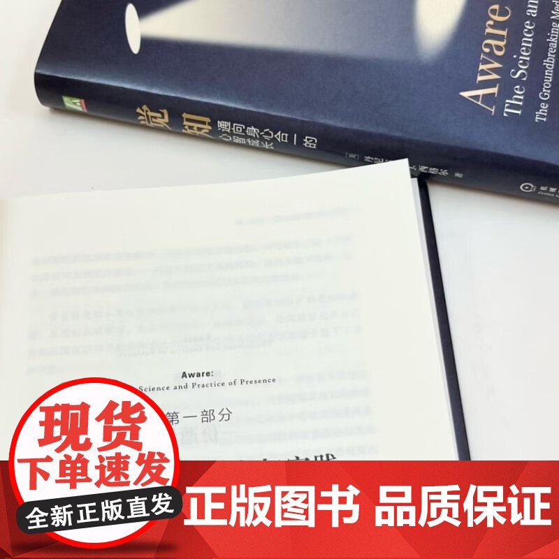 觉知 通向身心合一的心智成长 丹尼尔·J.西格尔 著 心理学高清大图