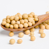 七河源有机黄大豆1kg 东北豆浆豆