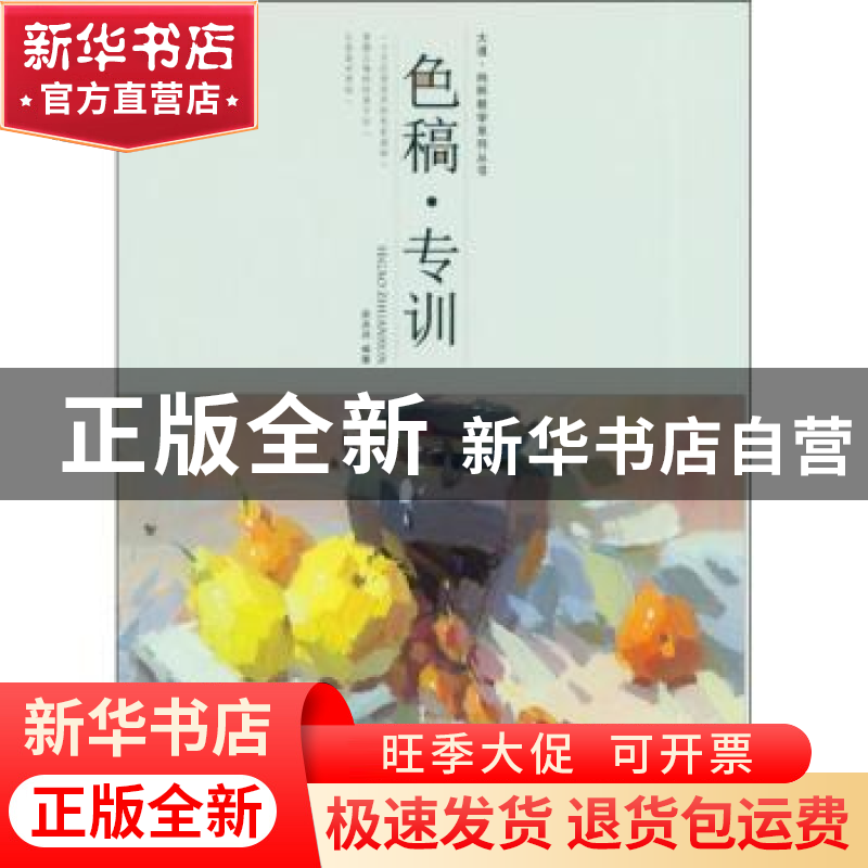 正版 色稿·专训 武兆丹编著 黑龙江美术出版社 9787559307903 书