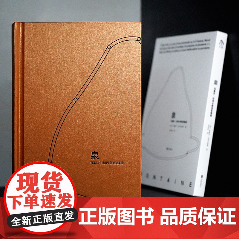 泉:马塞尔·杜尚小便池变奏曲 Fontaine 现代艺术