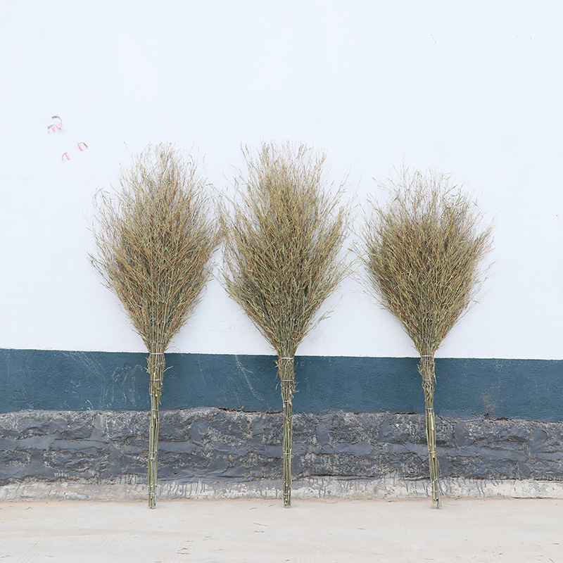 欣欣妍宸 无叶竹扫把大扫把 YC-大号/个高清大图