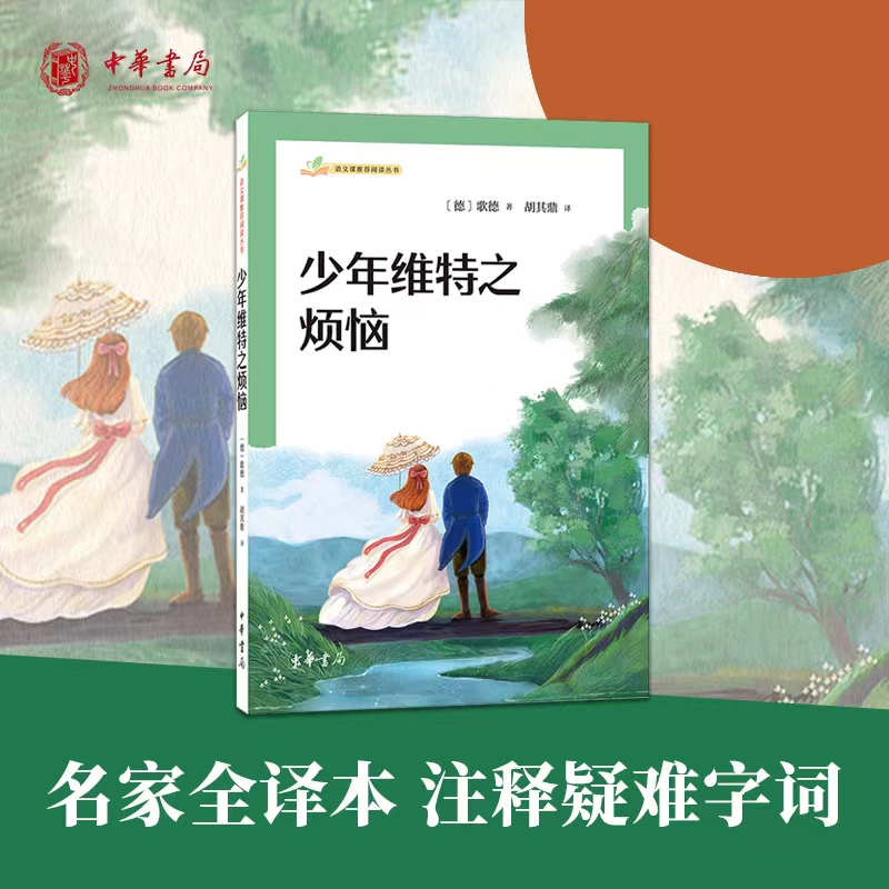 [M]少年维特之烦恼-9787101161878高清大图