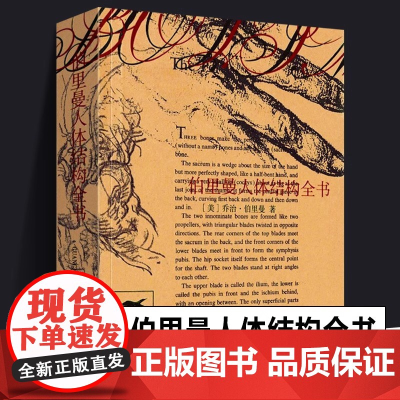 【正版】伯里曼人体结构全书袖珍版便携小开本 人体人物绘画教学素描大师速写临摹基础入门技法教程动漫画手解剖 美术艺考书籍