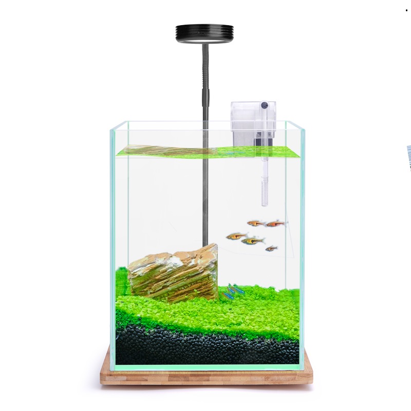小水鱼缸 小型全套 水族箱造景小缸 桌面水缸含DIY素材水景高清大图
