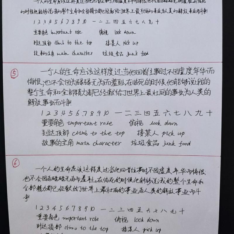 手工抄写各种文案工程文字资料帮抄罚抄检讨书写教案信人写字服务[11月11日发完] 手工抄写各种文案工程文字资料帮抄罚抄检