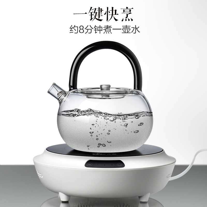 小熊(bear) DTL-A13B1 电陶炉泡茶煮茶器黑茶养生茶炉 单台装