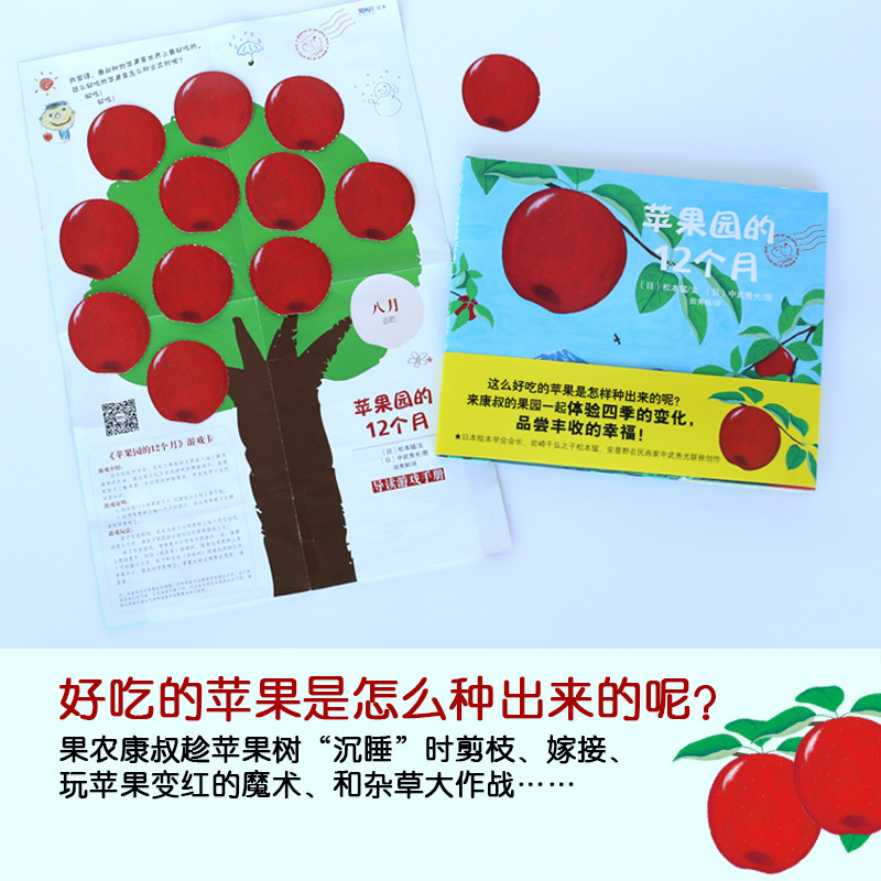 [正版]书店苹果园的12个月(精)被选入中国小学生分阅读书目二年书目 3