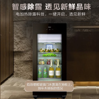 海尔冰柜冷柜高端冰吧侧开门冷藏保鲜 雪茄红酒柜恒温电脑控温(Haier)LC-158DH