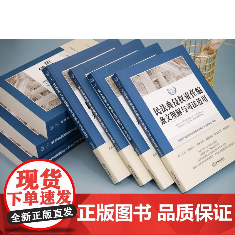 2022新版民法典条文理解与司法适用丛书7册七本总则编、物权编、合同编、人格权编、婚姻家庭继承编、侵权责任编民法典理解与高清大图