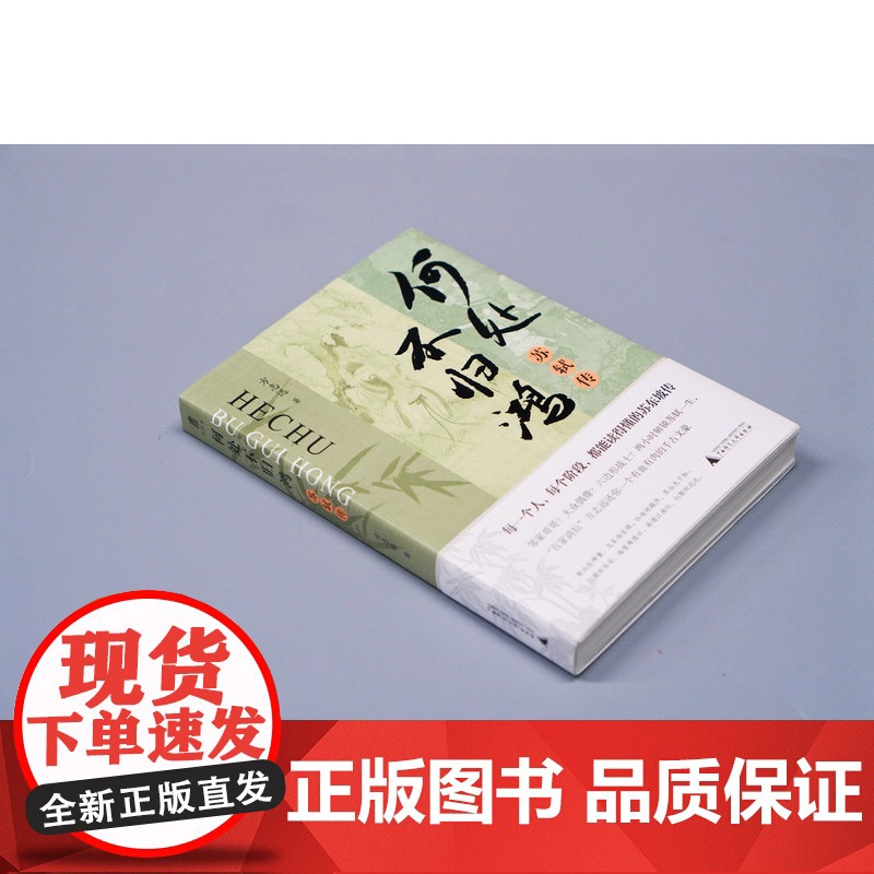 大学问 何处不归鸿:苏轼传 方志远/著 历史传记 苏轼 东坡 传记文学 广西师范大学出版社高清大图