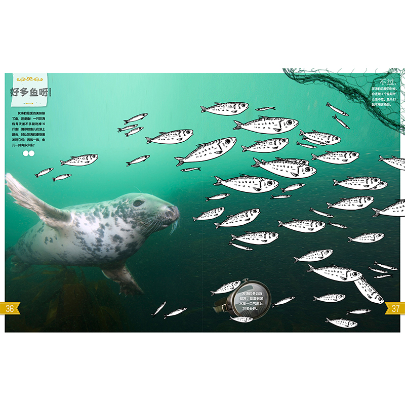 《我的自然游戏书》 [正版]东方娃娃自然科普《我的自然游戏书》6-12岁儿童书籍童书植物和动物之旅高清大图