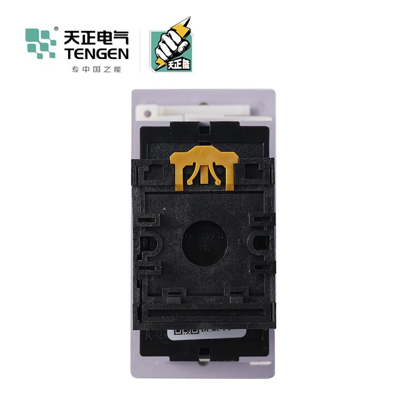 天正电气 JS14-S 面板安装式 5A 220VAC 1s…999s 2C/O 03040090406 时间继电器