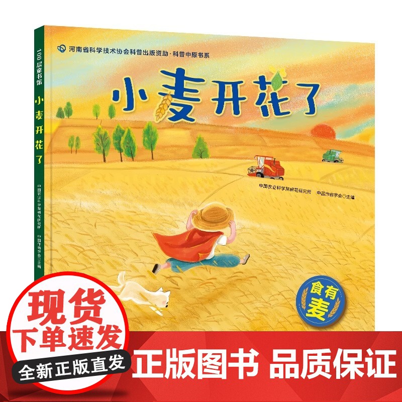 小麦开花了 童书绘本 精装图画书 中国原创 了解小麦的生长过程,体味农耕文化的智慧,学会感恩自然的馈赠 棉花的旅程高清大图