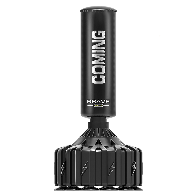 飞尔顿拳击沙袋散打立式家用不倒翁材儿童健身吊式跆拳道