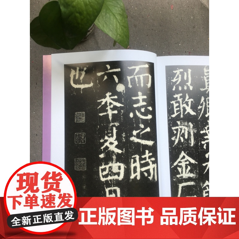 中国碑帖经典 颜真卿麻姑仙坛记 平装 楷书软笔毛笔书法练字帖 上海书画出版社高清大图