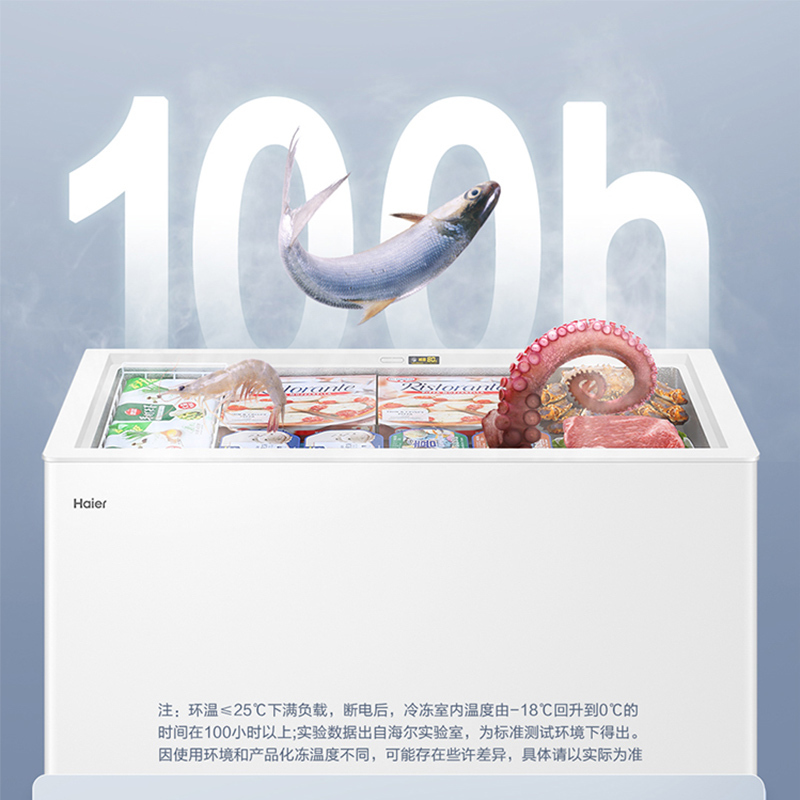 海尔(Haier)300升家用卧式冰柜 冷柜 小冰箱 大冷柜 减霜80% 断电保护 一级能效 BC/BD-300GHD