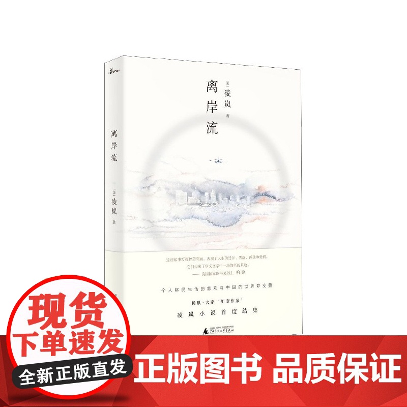 新民说 离岸流 凌岚 著 留学生 美国 华人文学 中年危机 广西师范大学出版社高清大图