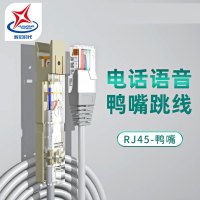 辉宏时代RJ45水晶头转1对鸭嘴头跳线电话语音配线架跳线纯铜电话跳线 鸭嘴跳线转鸭嘴跳线 5米