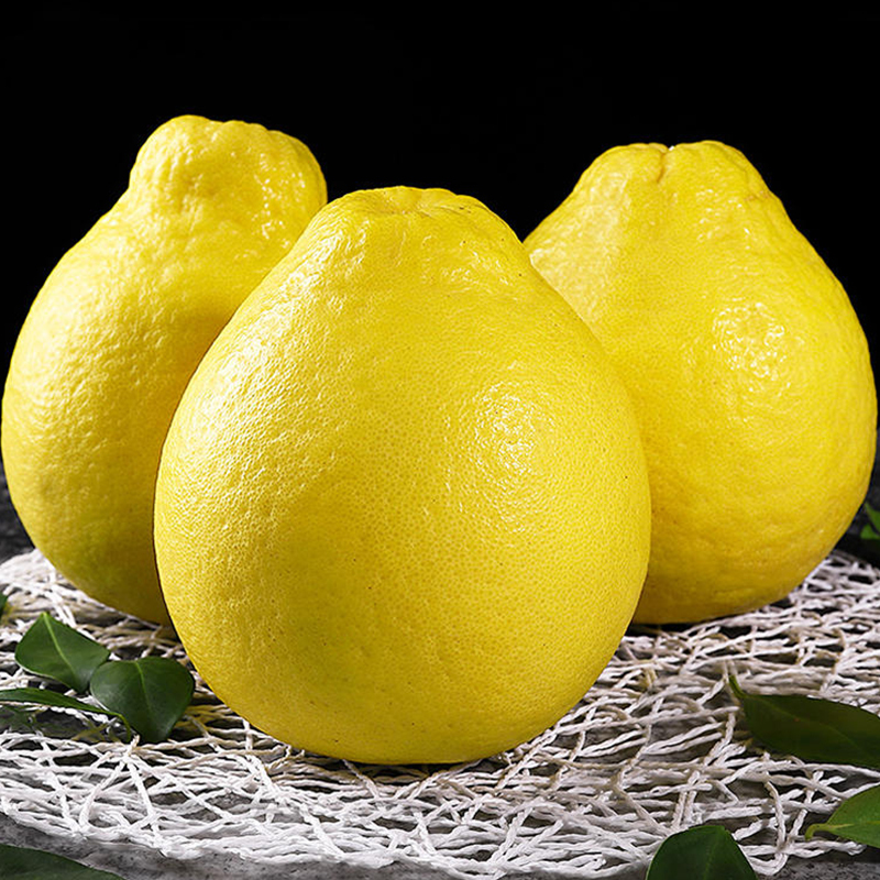 5-18.5斤 5-6个 新鲜柚子水果 蜜柚